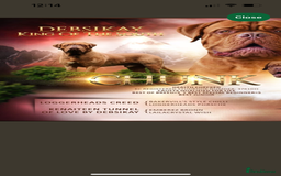 Dogue De Bordeaux dogs for sale: Beautiful KC Dogue De Bordeaux Puppies - Image 20