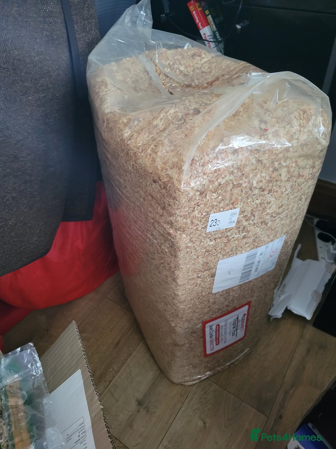 Guinea Pig rodents for sale: 4 mnth old male GPig with Cage, Food & Bedding - Advert 9