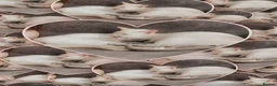 Siamese cats for sale: Full Siamese lilac/blue points kittens  - Advert 14
