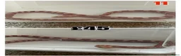 Corn Snake reptiles for sale: Baby Corn Snakes 🐍  - Advert 35