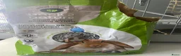 Rat rodents for sale: 2 male rats and cage and accessories for sale in Bridgnorth - Advert 6