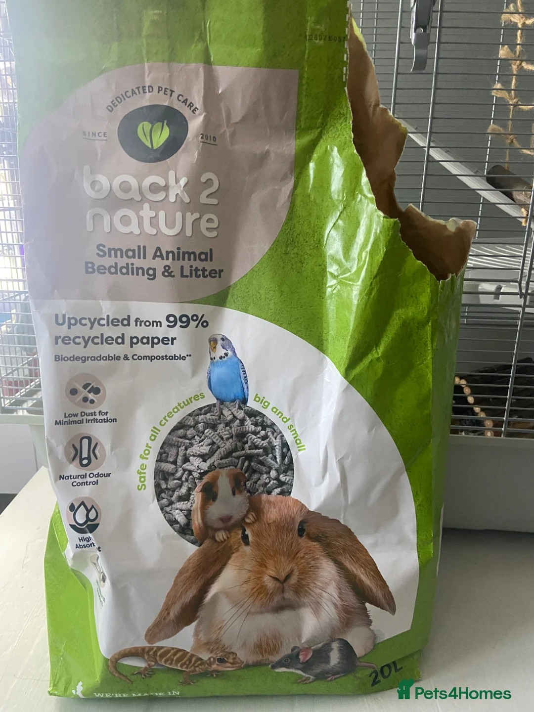 Rat rodents for sale: 2 male rats and cage and accessories for sale in Bridgnorth - Advert 6