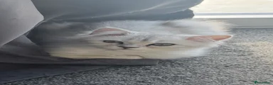 Storm 