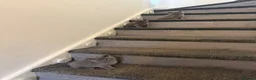 British Shorthair cats for sale: 3 male British Shorthairs - Advert 4