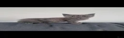 British Shorthair cats for sale: 3 beautiful British shorthair kittens - Advert 4