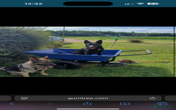 German Shepherd dogs for sale: German shepherd puppy  - Image 2