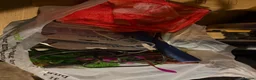 Fancy Goldfish fish for sale: 2 Fantails, tank, filter, air pump and MORE - Advert 8