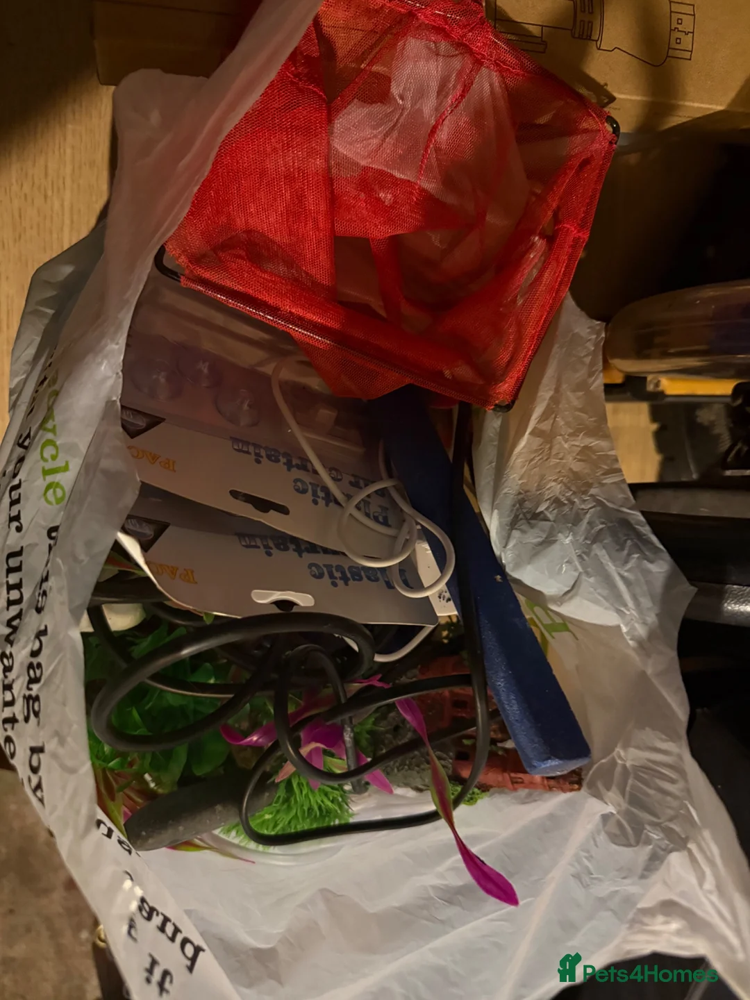 Fancy Goldfish fish for sale: 2 Fantails, tank, filter, air pump and MORE - Advert 8