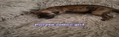 Purple collar girl