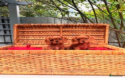 Cavalier King Charles Spaniel dogs for sale: Quality KC Health Tested Ruby CKCS Pups For  Sale - Image 8
