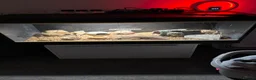 Leopard Gecko reptiles for sale: Leopard gecko  - Advert 5