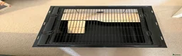 Hamster rodents for sale: Hamster cage in Leeds - Advert 6