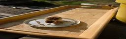 Quail poultry for sale: Male quail in Poole - Advert 5