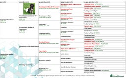 English Springer Spaniel dogs for sale: Kc registered traditional springer pups  - Image 3