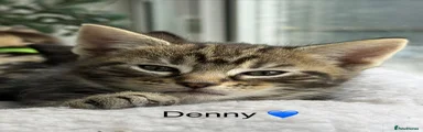Denny