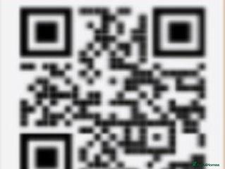 Cocker Spaniel dogs - Advert 21