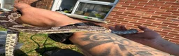 Corn Snake reptiles for sale: 1 king 5 corns 2 pythons  - Advert 4