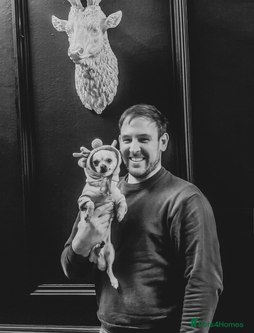 Gallery Image {{count}}