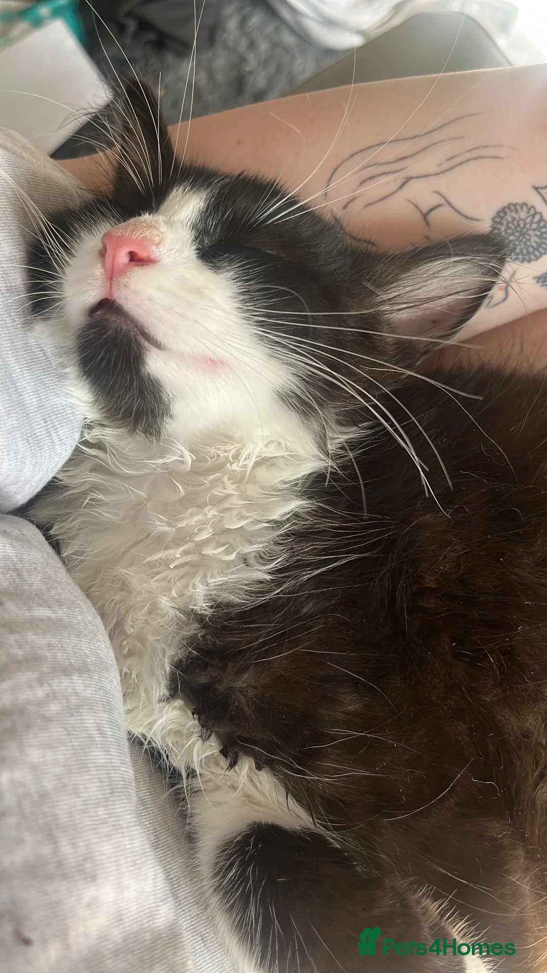 Gallery Image {{count}}