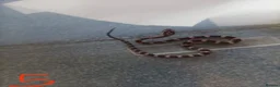 Corn Snake reptiles for sale: 7 x baby corn snakes for sale  - Advert 4
