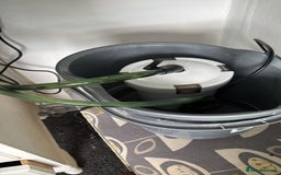Turtle reptiles for sale: Chinese stripe neck pond turtles - Image 13