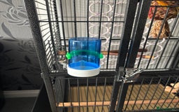 Parrots birds for sale: Large Parrot Cage - Image 18