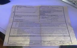 Tortoise reptiles for sale: Testudo hermanni -Herman tortoise  in Heanor - Image 9