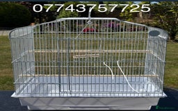 Budgerigars birds for sale: Adorable budgies and cages for sale  - Image 14