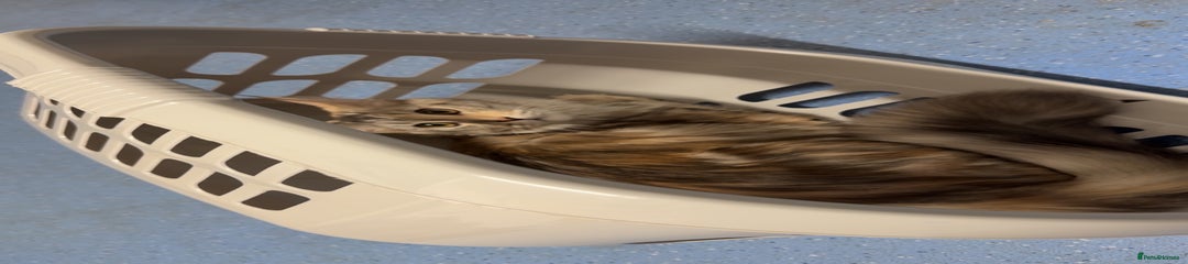 Female