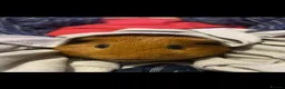 Guinea Pig rodents for sale: 2 guinea pigs - Advert 3