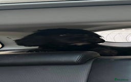 Mixed Breed dogs for sale: Protective and loyal when trust earned - Image 3
