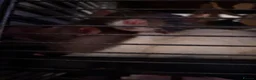 Rat rodents for sale: Fancy Dumbo Rats 8 months old with cage - Advert 5