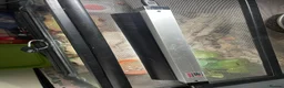 Gecko reptiles for sale: Mourning gecko enclosure and sand gecko enclosure  - Advert 16