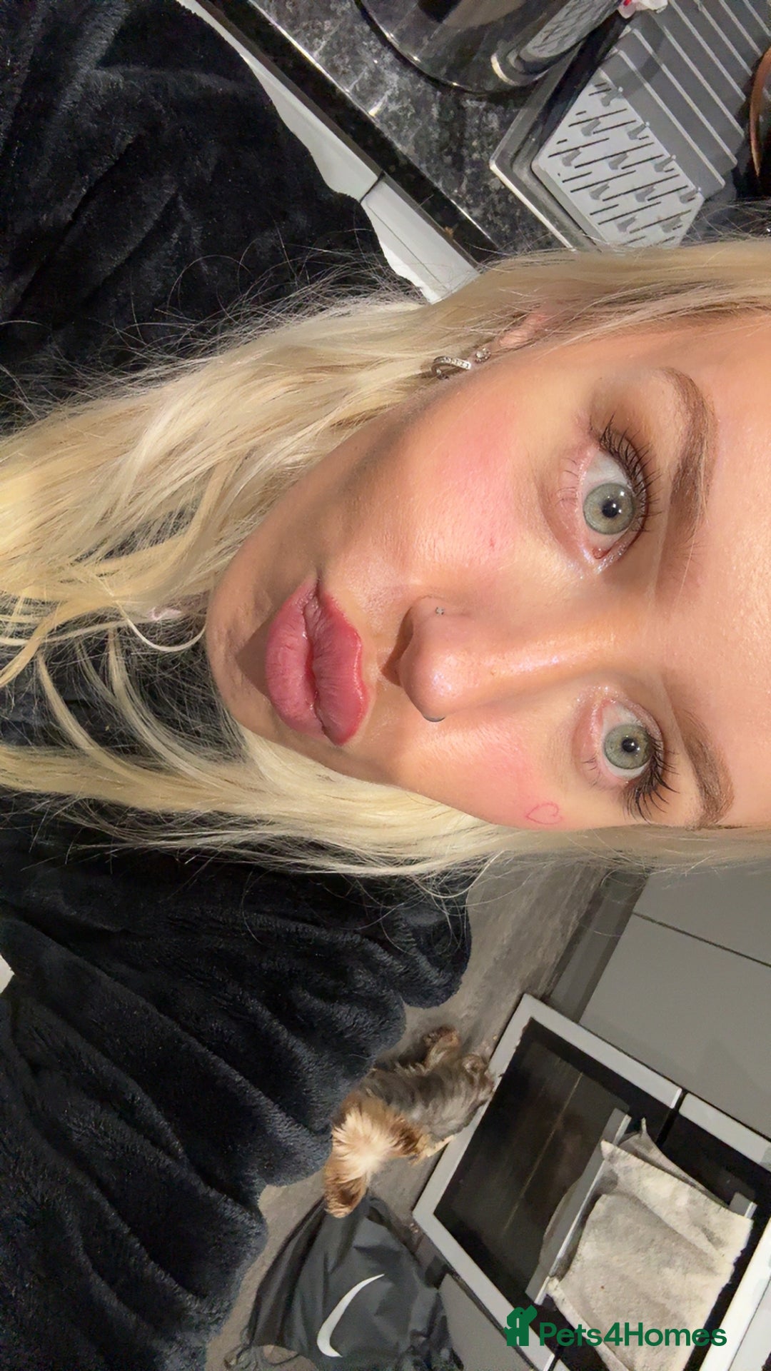 Gallery Image {{count}}