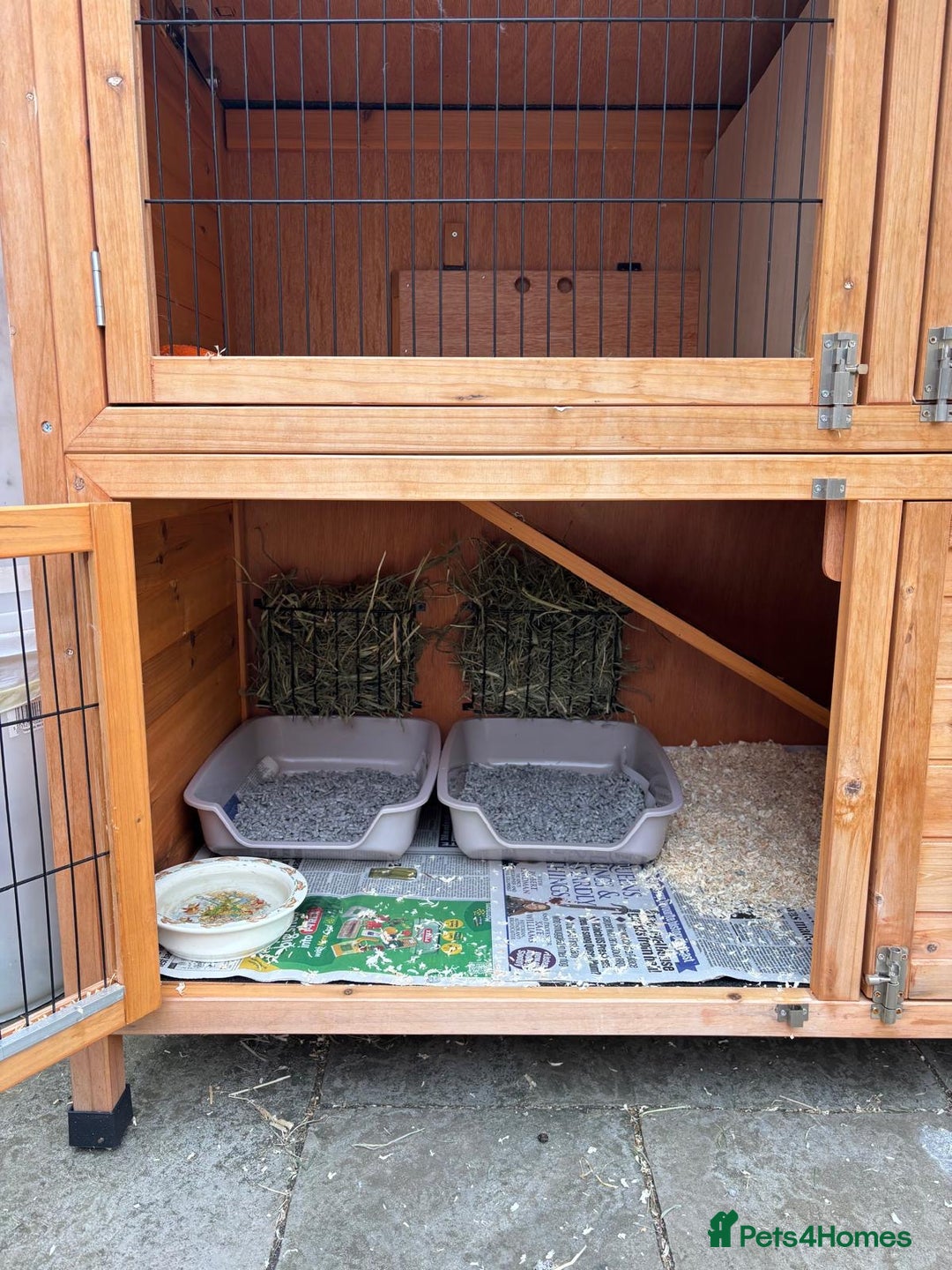 Dutch rabbits for sale: Pair of bonded vaccinated female rabbits - Image 12