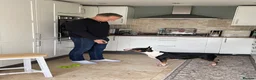 Bull Terrier dogs for sale: Beautiful, healthy, 2 year brindle & white KC girl - Advert 1