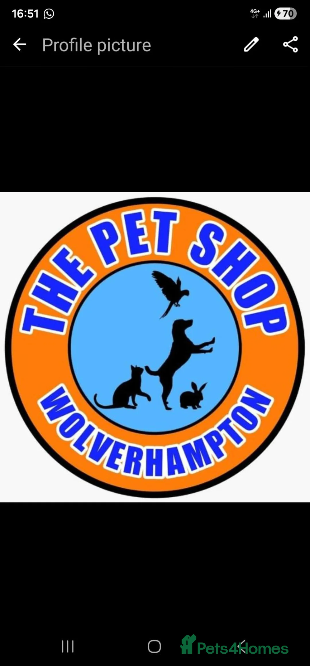 Parrots birds for sale: AMAZONS, PARROTS & PARAKEETS  - Advert 27
