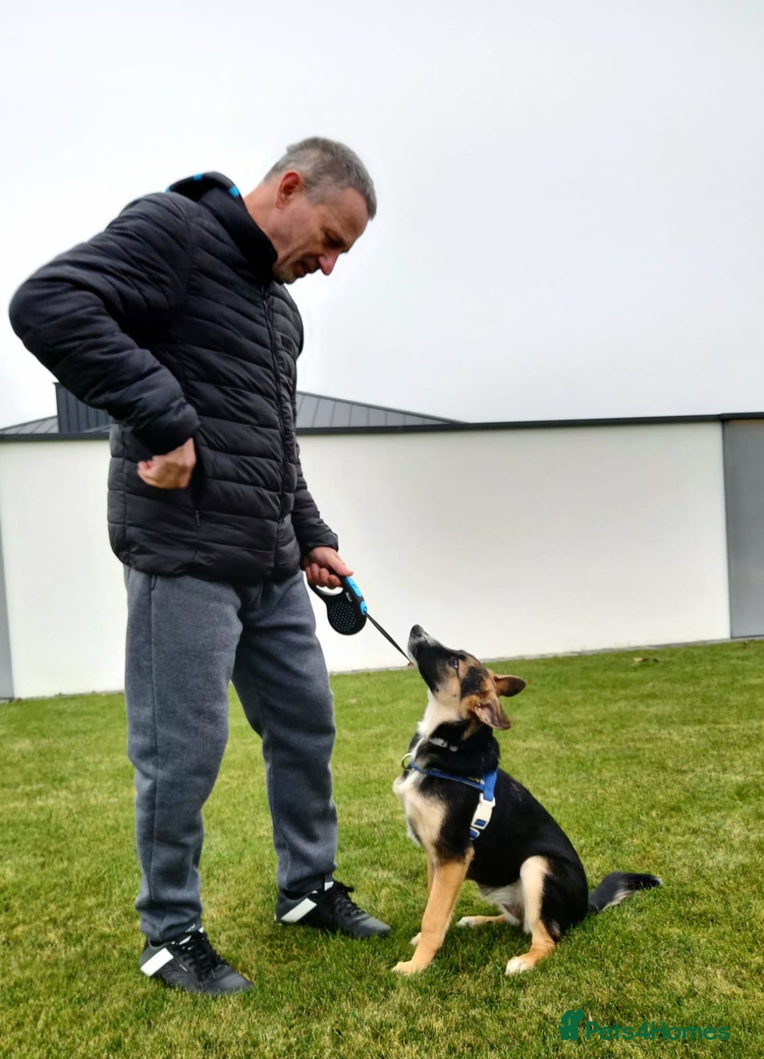 Mixed Breed dogs for adoption: ❤️🐶Busia- 6(7) month lower-medium girl ❤️🐶 - Advert 12