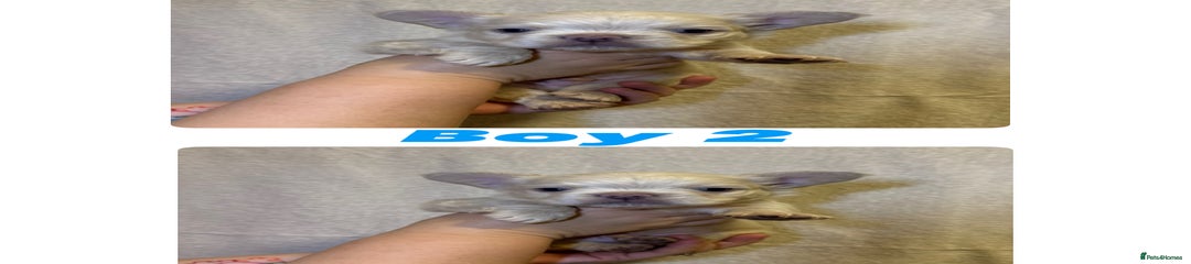 Boy 2