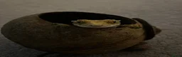 Gecko reptiles for sale: Female Crested Gecko for sale  - Advert 6