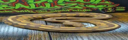 Python Snake reptiles for sale: Cinnamon ultramel  - Advert 1