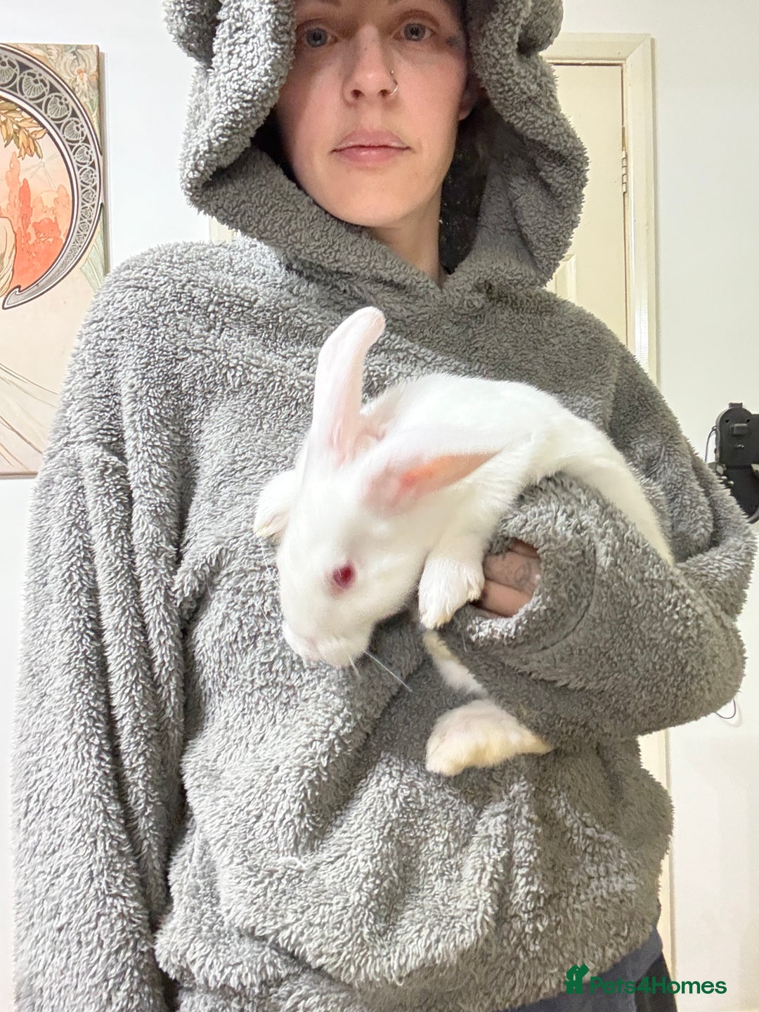 New Zealand rabbits for sale: New Zealand Does and bucks ready to leave now - Image 3