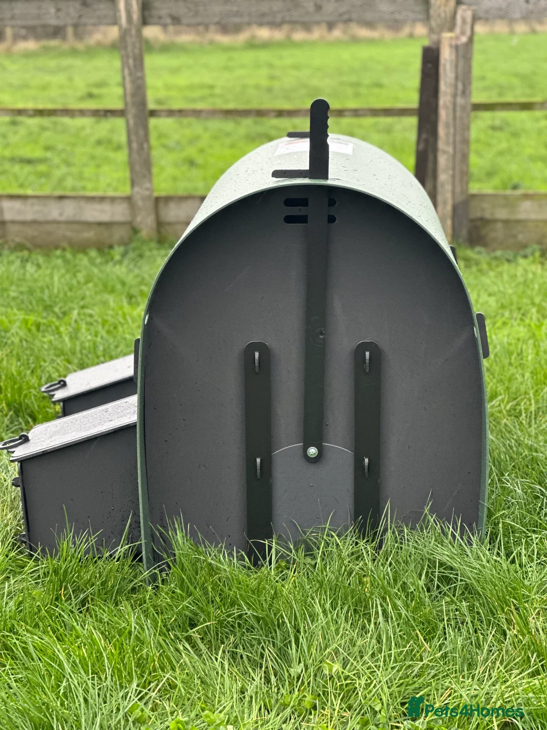 Mixed Breed poultry for sale: Hen House - Recycled - 6 Large Hens - Advert 6