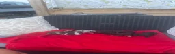 Mixed Breed dogs for sale: CHI SPANIEL PUPPIES READY 5th SEP in Princes Risborough - Advert 6