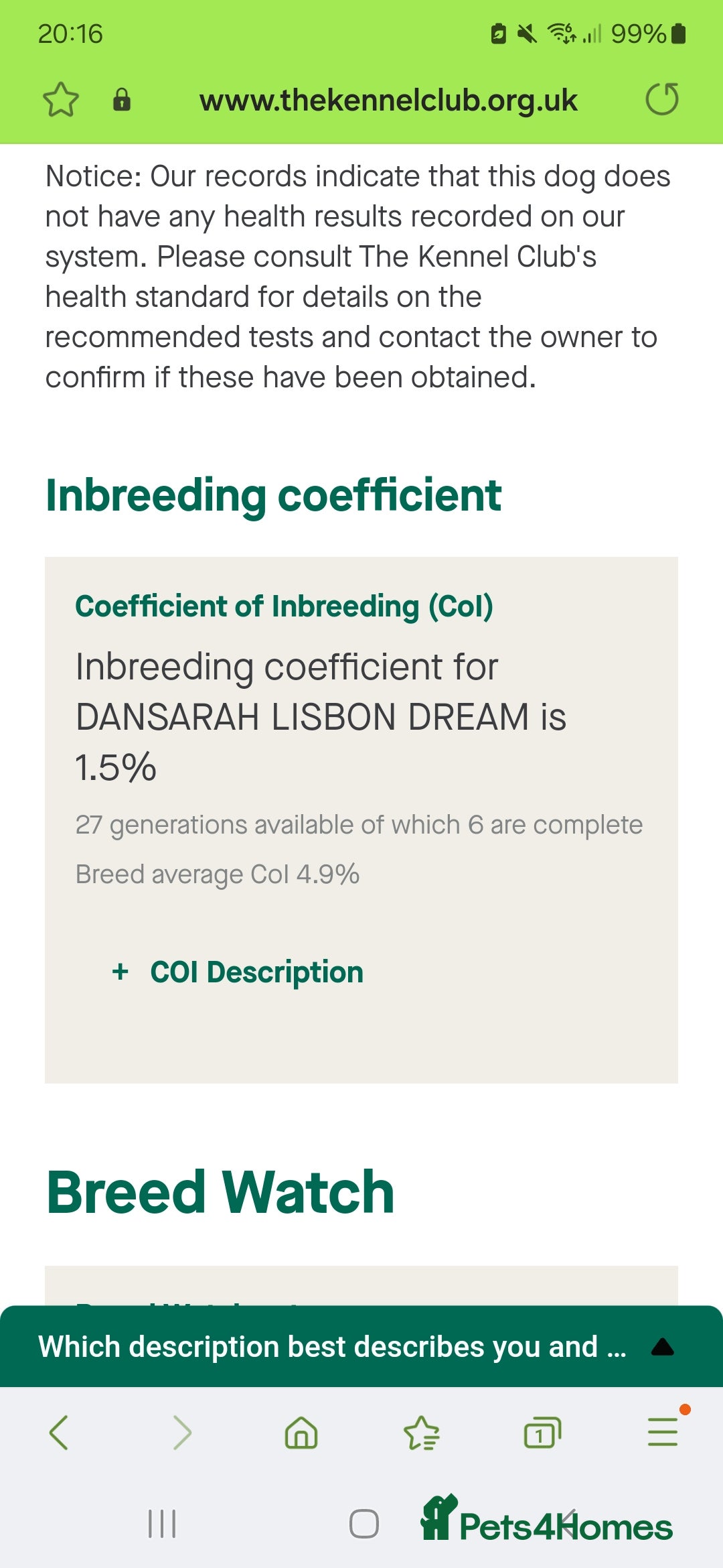 Boxer dogs for stud: PROVEN 0 HEART SCORE BOBTAIL STUD - Advert 6