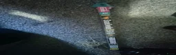 Gecko reptiles for sale: Exo terra 45x45x60 tall glass tank - Advert 4