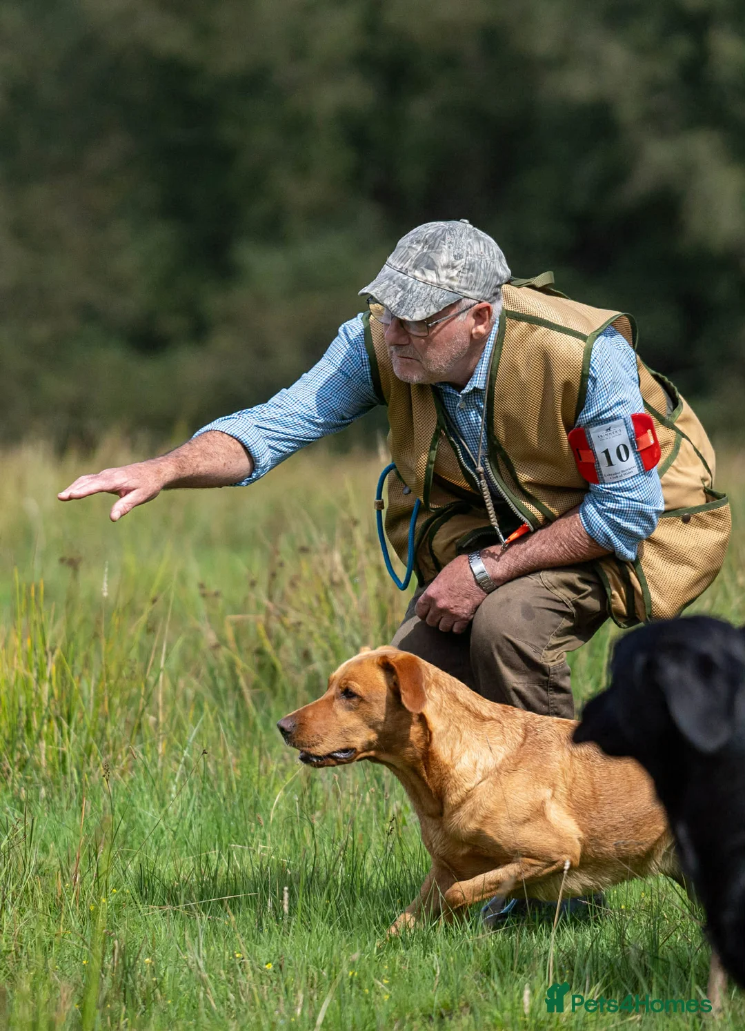 Gallery Image {{count}}