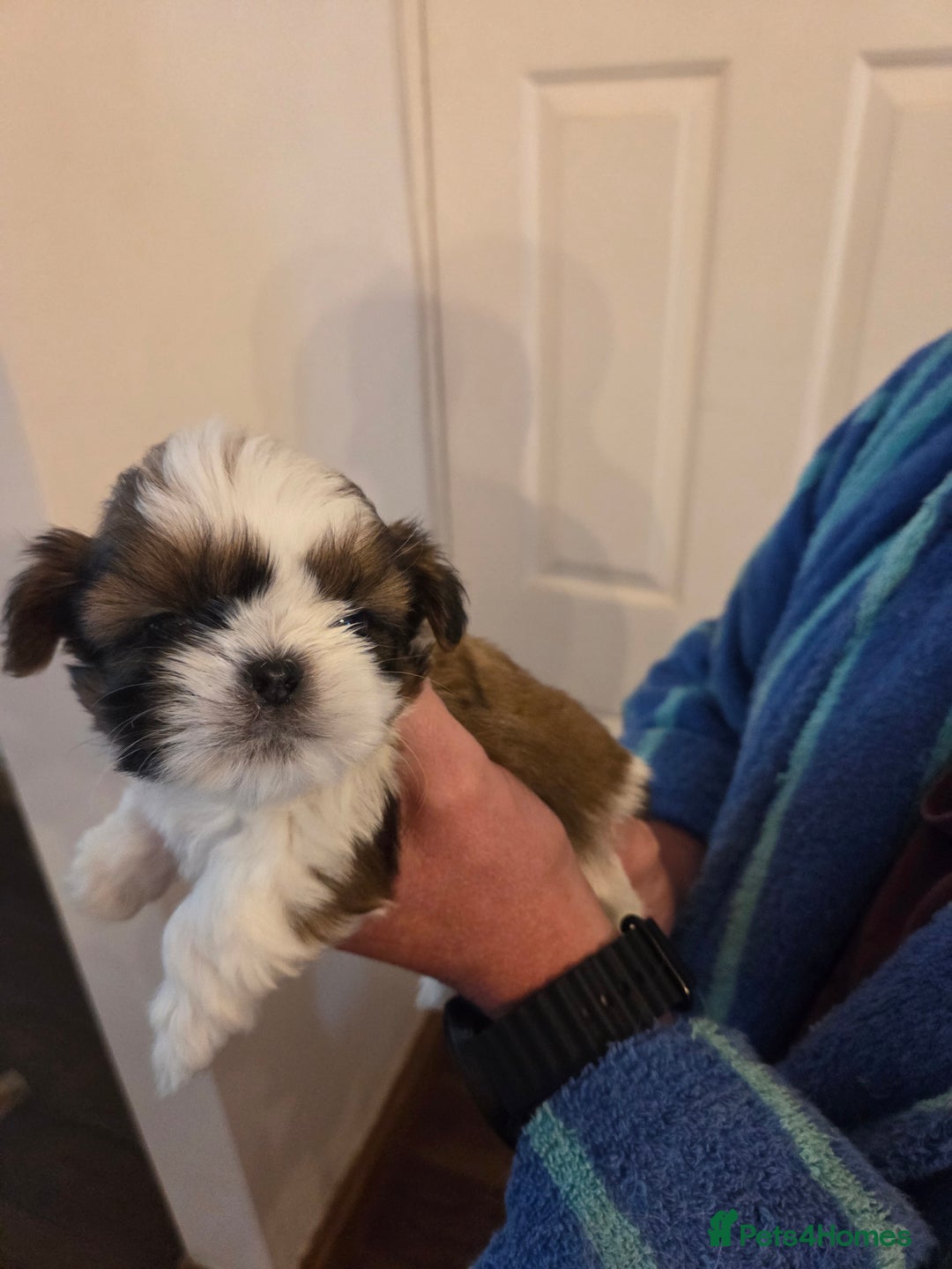 Gallery Image {{count}}