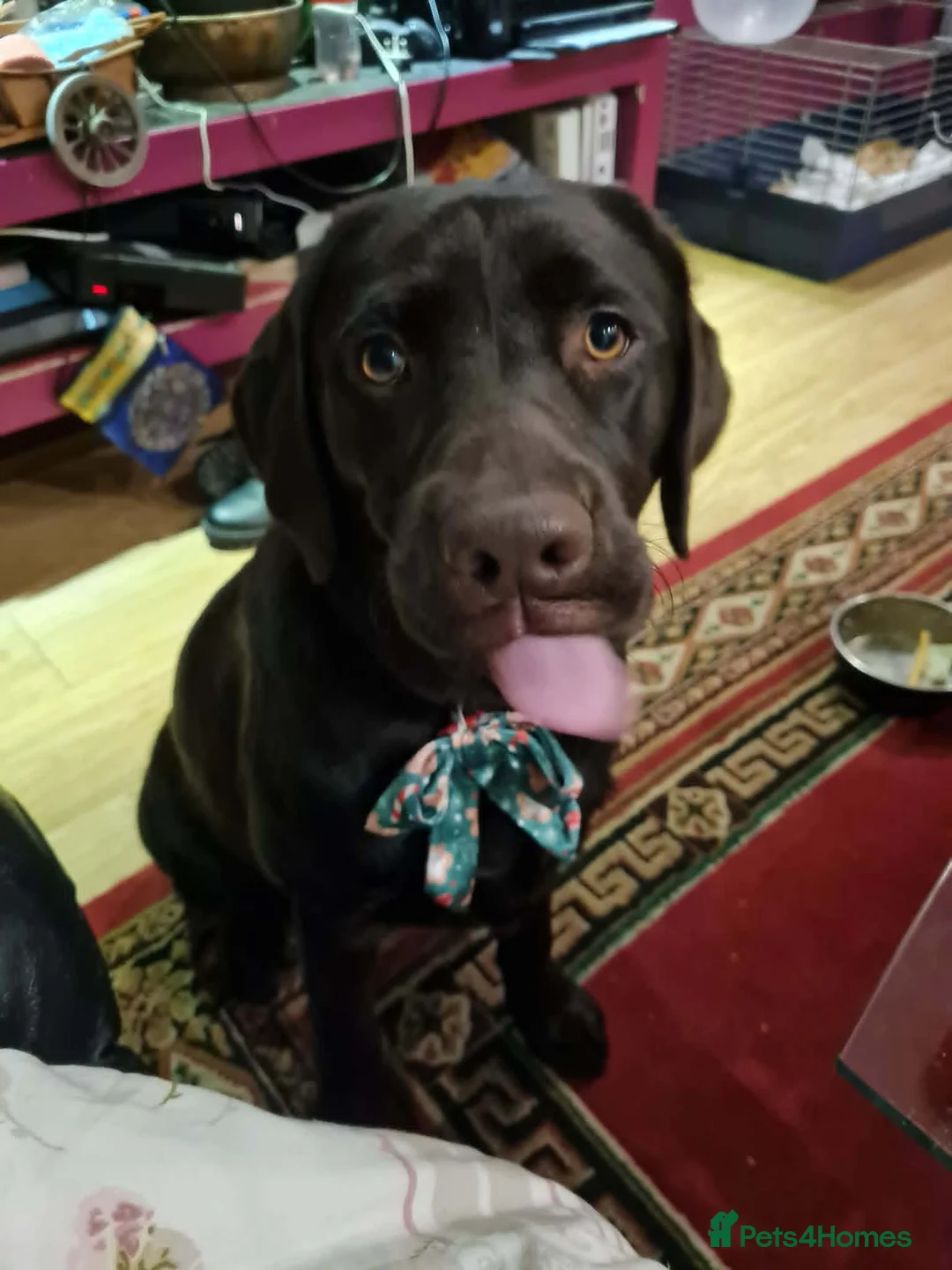 Gallery Image {{count}}