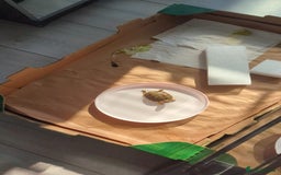 Tortoise reptiles for sale: Greek Spur Baby Tortoises Hatched 2025 - Image 6